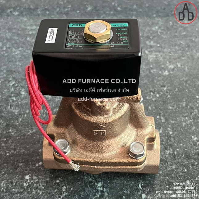 CKD AP11-25A-C4A (2) 